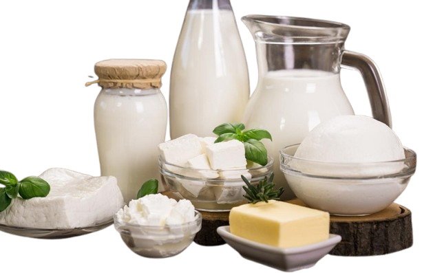 Dairy & Milk Products