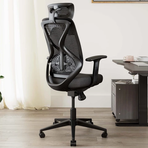 Ergonomic Office Chair