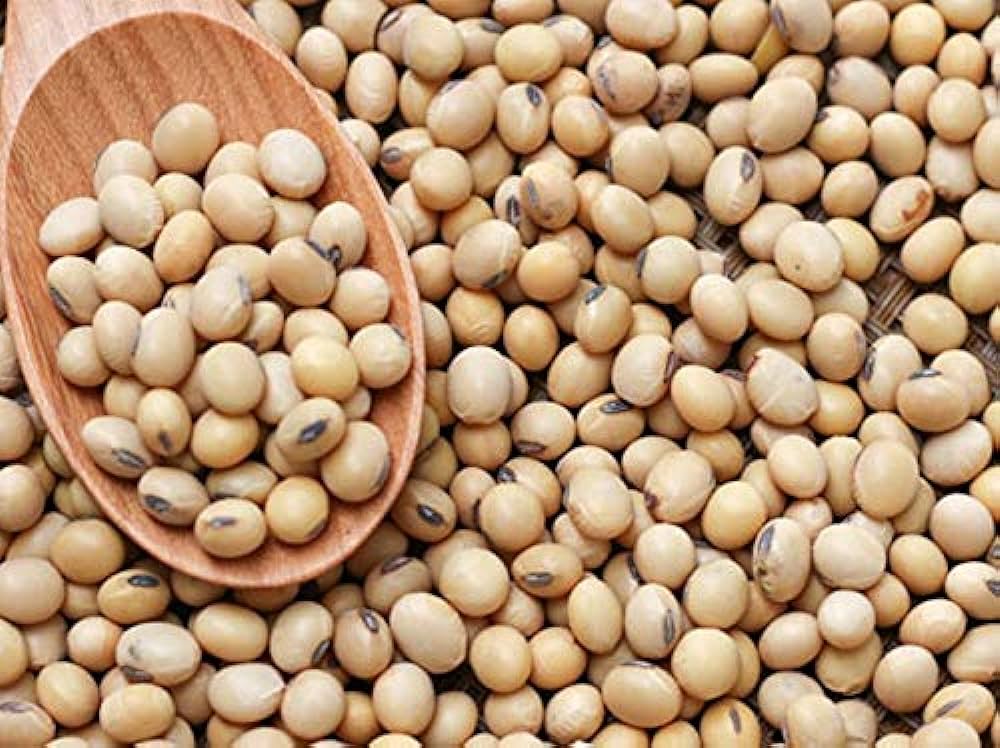 Soyabean