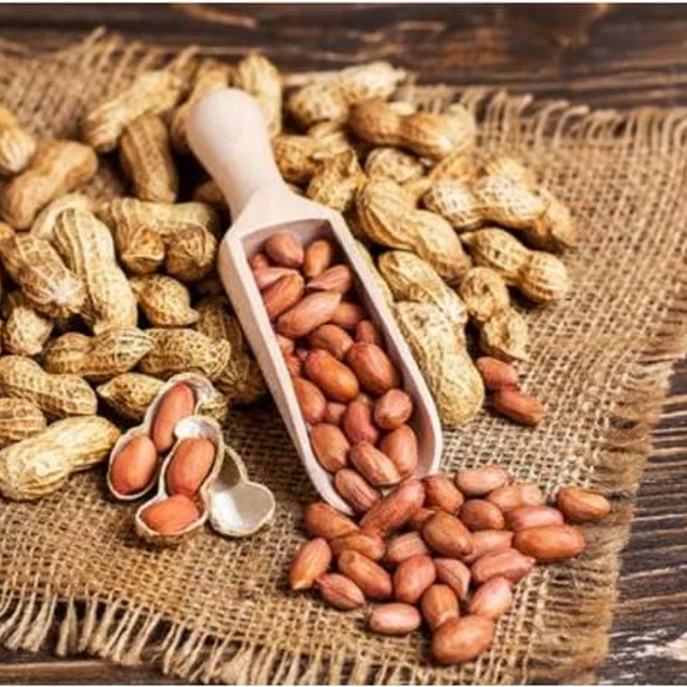 Roasted Groundnuts