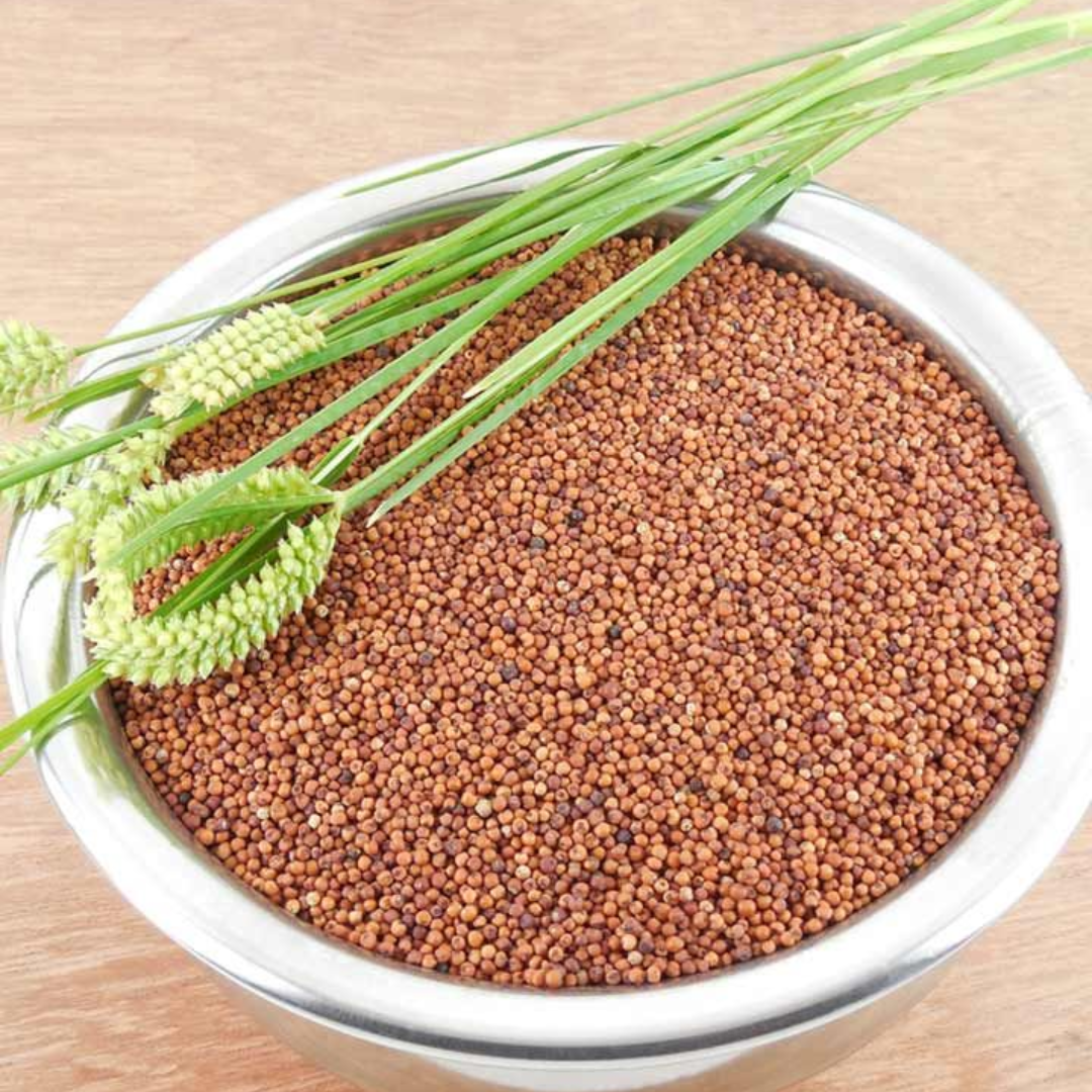 Finger Millet (Ragi)