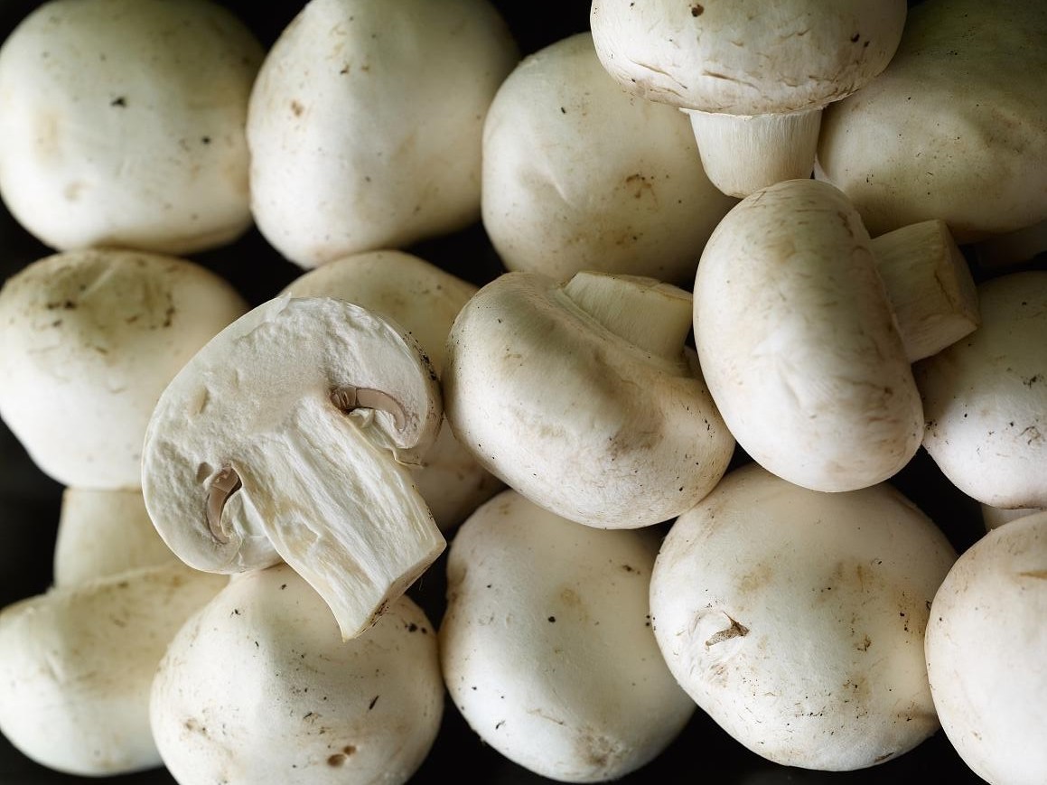 Button Mushroom