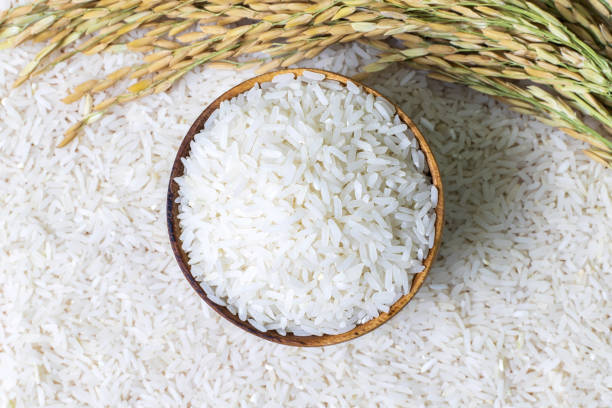Jasmine Rice