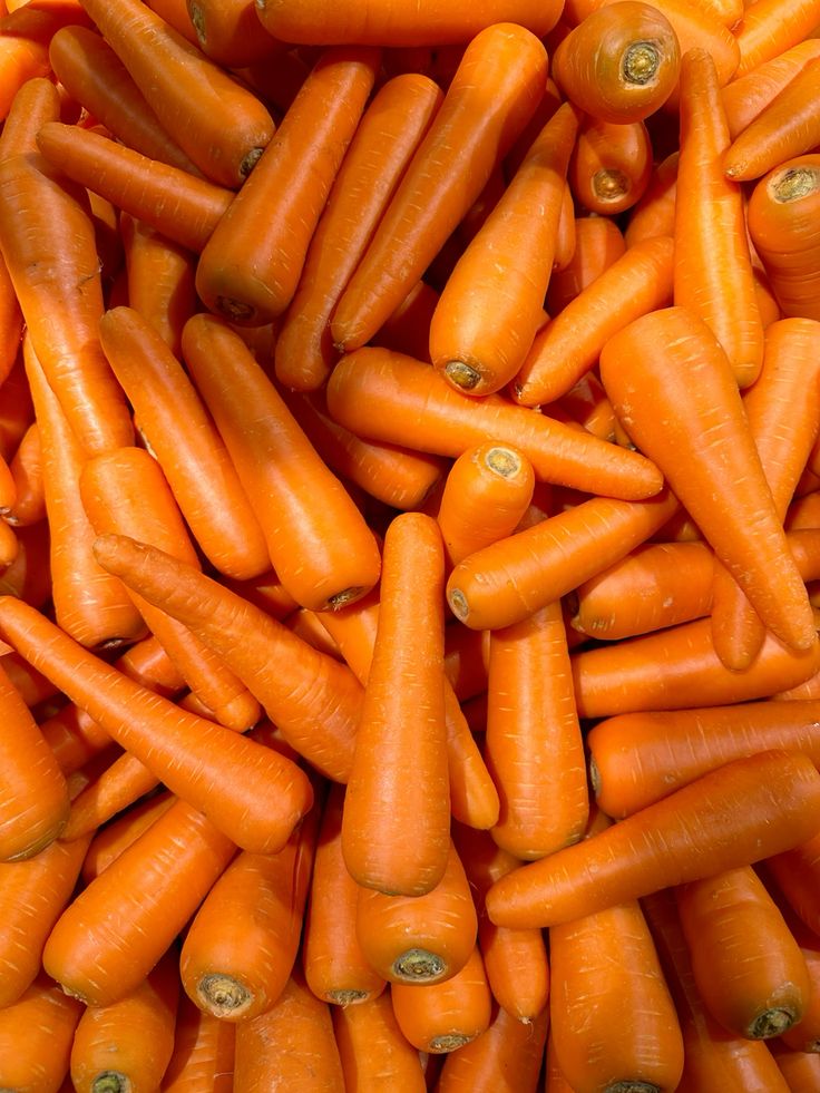 Carrot