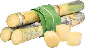 Sugarcane
