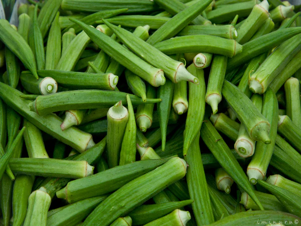 Lady finger