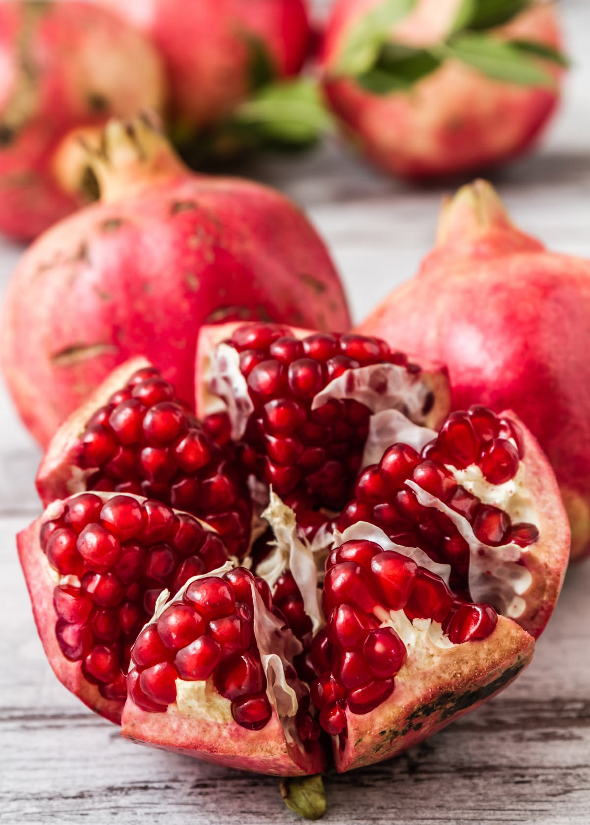 Parfianka Pomegranate