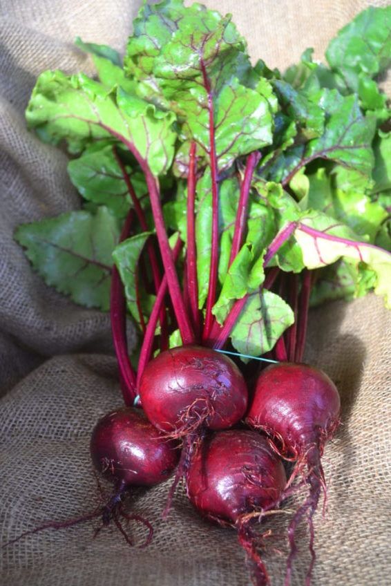 Beetroot 