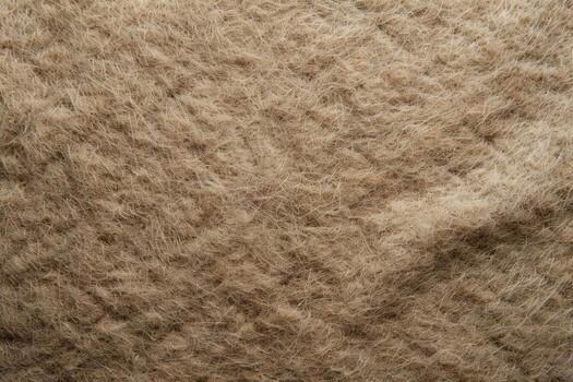 Natural Wool Felt