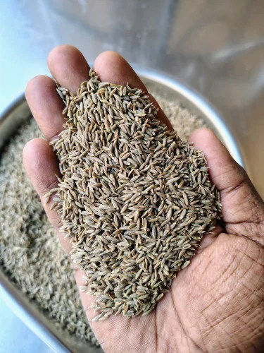 Cumin Seeds 