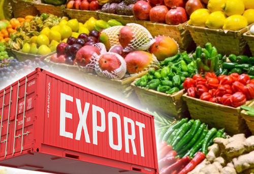 Export Story